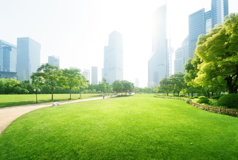 Products For Landscapings in use