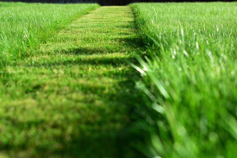 Lawn Mowing