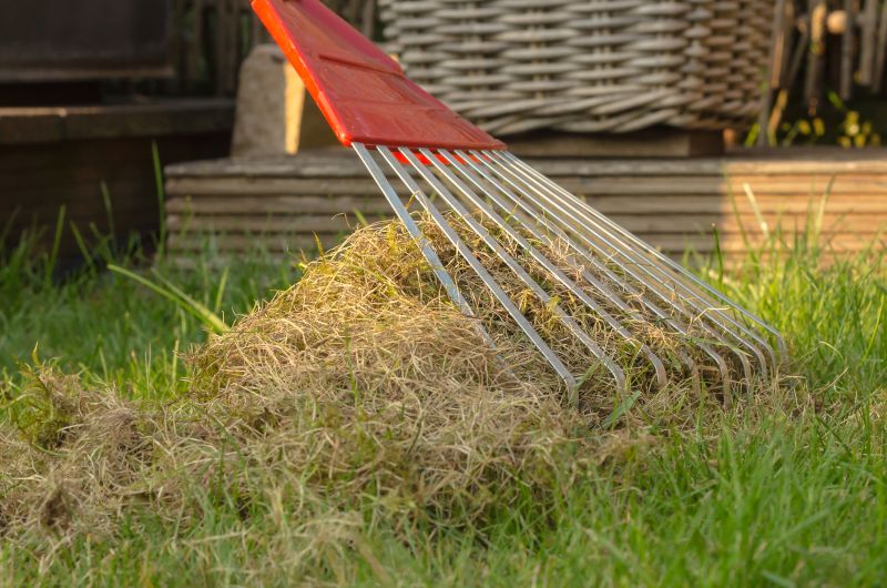 Aerating/Thatching